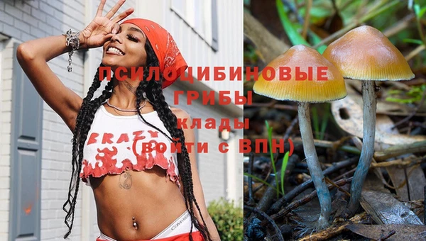 гидра Горно-Алтайск