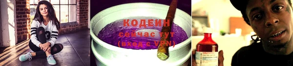 крисы Наволоки