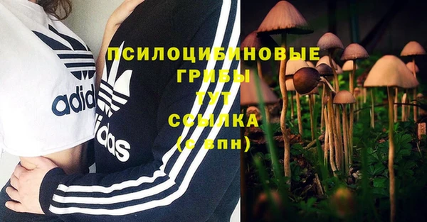 крисы Наволоки
