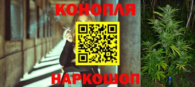 прущие крисы Аргун