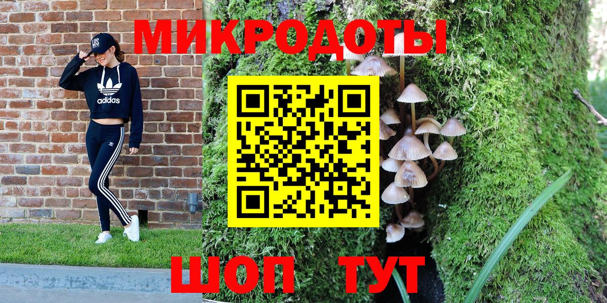 Псилоцибиновые грибы Psilocybe Нальчик
