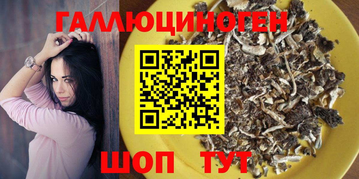 Галлюциногенные грибы Psilocybe  Галлюциногенные грибы мухоморы  Нальчик 