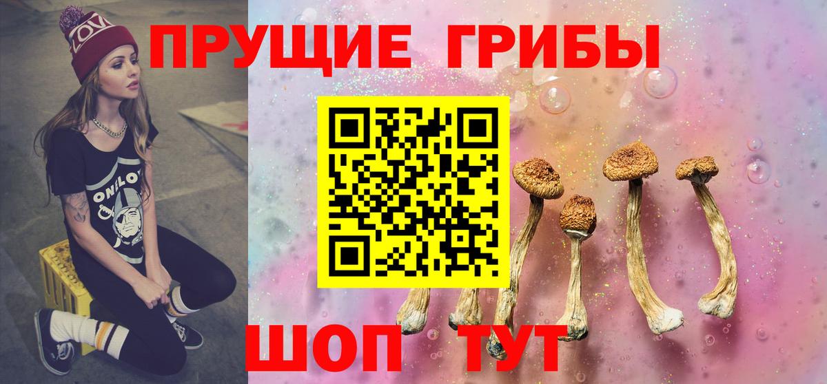 купить наркотики сайты  Галлюциногенные грибы мухоморы  Вход с VPN  Нальчик 