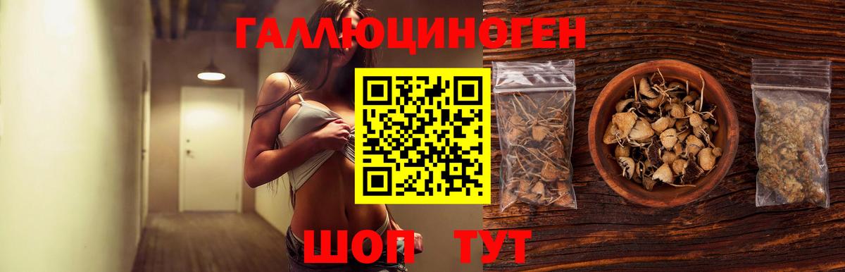 Псилоцибиновые грибы MAGIC MUSHROOMS Нальчик